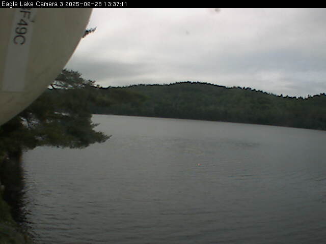 public_cam 3_25-06-28_13-37-11-78.jpg